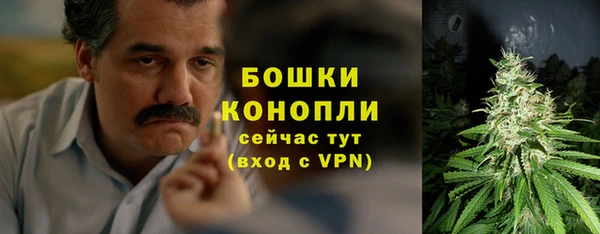 Альфа ПВП Дмитриев