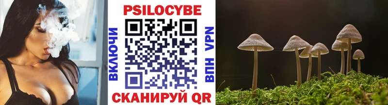 blacksprut как войти  Карачаевск  Псилоцибиновые грибы GOLDEN TEACHER 