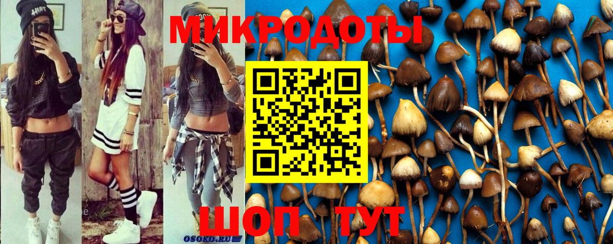 Галлюциногенные грибы MAGIC MUSHROOMS Карачаевск